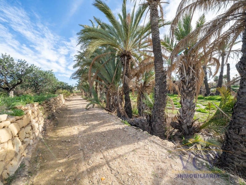 Undeveloped Land for sale in Elche / Elx - € 400,000 (Ref: 9948469)