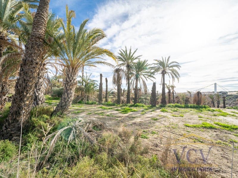 Undeveloped Land for sale in Elche / Elx - € 400,000 (Ref: 9948469)