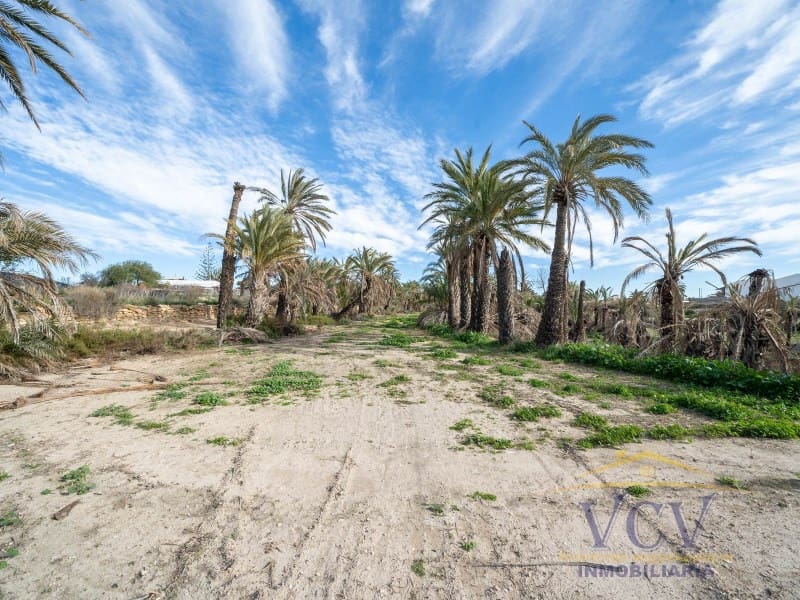 Undeveloped Land for sale in Elche / Elx - € 400,000 (Ref: 9948469)
