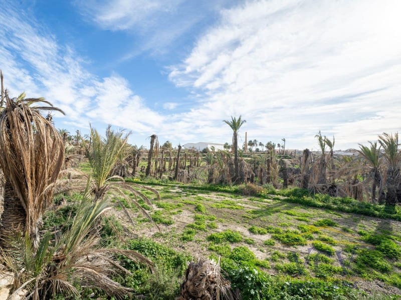 Undeveloped Land for sale in Elche / Elx - € 400,000 (Ref: 9948469)
