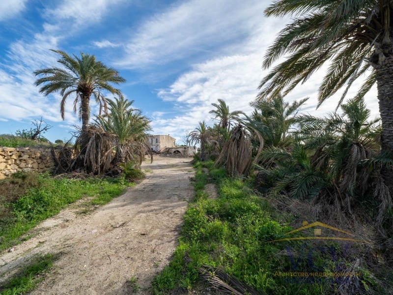 Undeveloped Land for sale in Elche / Elx - € 400,000 (Ref: 9948469)