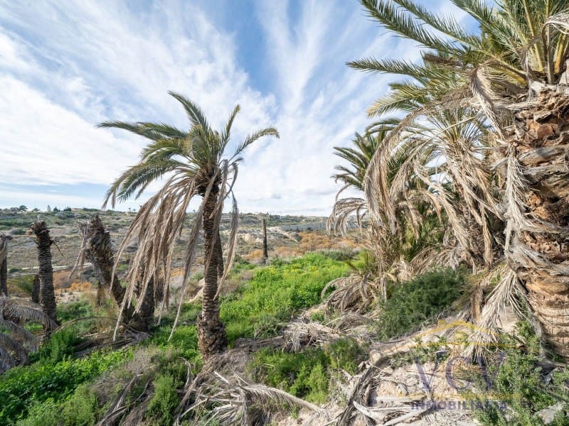 Undeveloped Land for sale in Elche / Elx - € 400,000 (Ref: 9948469)