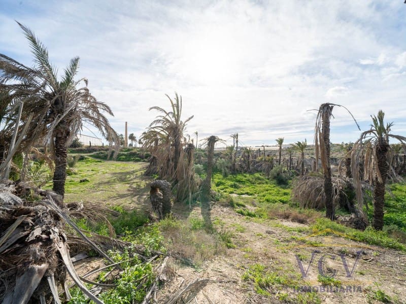 Undeveloped Land for sale in Elche / Elx - € 400,000 (Ref: 9948469)