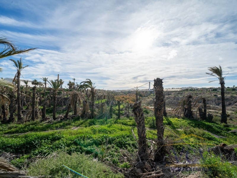 Undeveloped Land for sale in Elche / Elx - € 400,000 (Ref: 9948469)