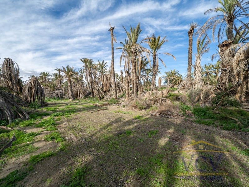 Undeveloped Land for sale in Elche / Elx - € 400,000 (Ref: 9948469)