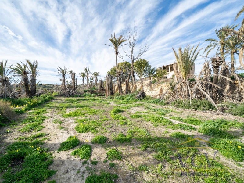 Undeveloped Land for sale in Elche / Elx - € 400,000 (Ref: 9948469)