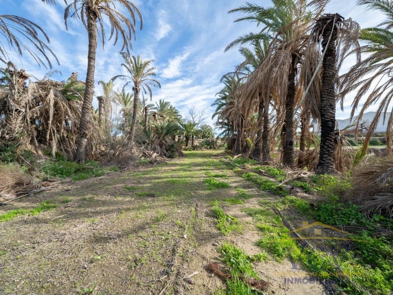 Undeveloped Land for sale in Elche / Elx - € 400,000 (Ref: 9948469)