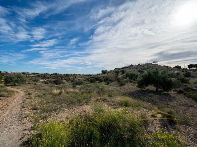 Teren niezagospodarowany na sprzedaż w Jubalcoy / Jubalcoi, Elche / Elx - 120 000 € (Ref: 9948471)