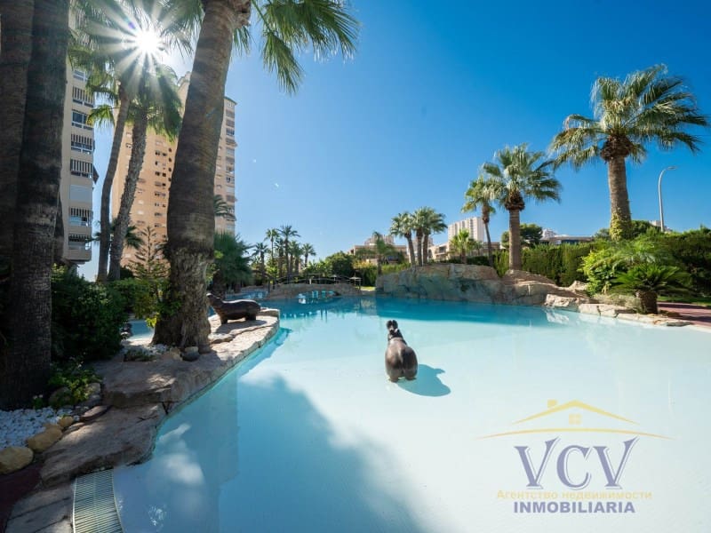 2 soveværelse Lejlighed til salg i Playa de Muchavista - € 380.000 (Ref: 9948482)