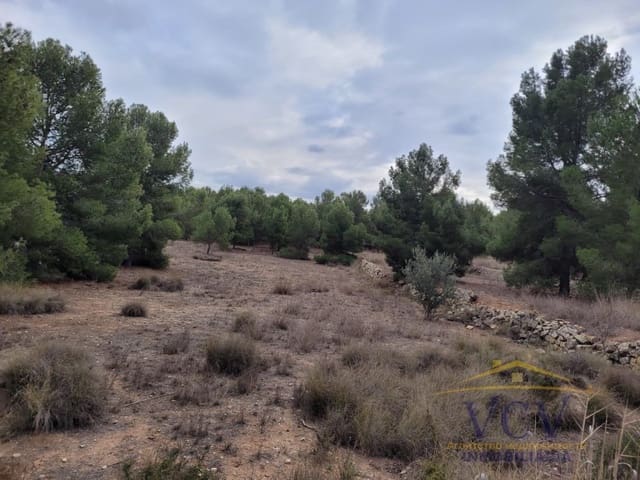 1 soverom Finca/Herregård til salgs i Monóvar / Monóver - € 250 000 (Ref: 9948498)