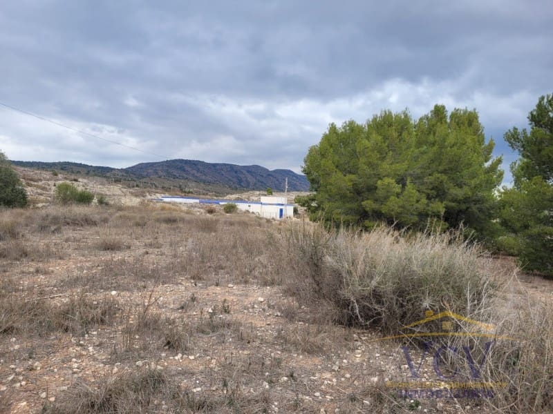 1 soverom Finca/Herregård til salgs i Monovar / Monover - € 250 000 (Ref: 9948498)