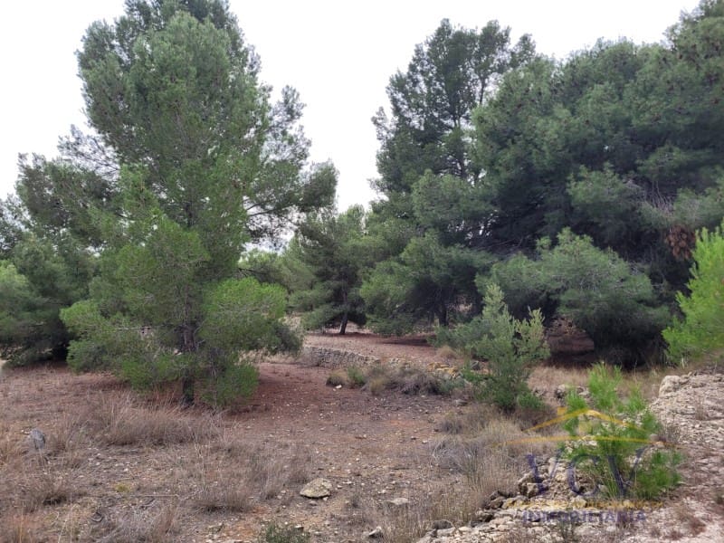 1 soverom Finca/Herregård til salgs i Monovar / Monover - € 250 000 (Ref: 9948498)