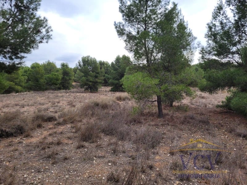 1 soverom Finca/Herregård til salgs i Monovar / Monover - € 250 000 (Ref: 9948498)