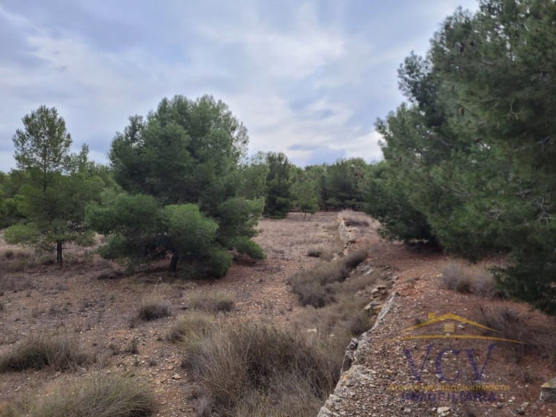 1 soverom Finca/Herregård til salgs i Monovar / Monover - € 250 000 (Ref: 9948498)