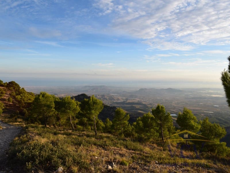 Mark till salu i Castalla - 1 000 000 € (Ref: 9948499)