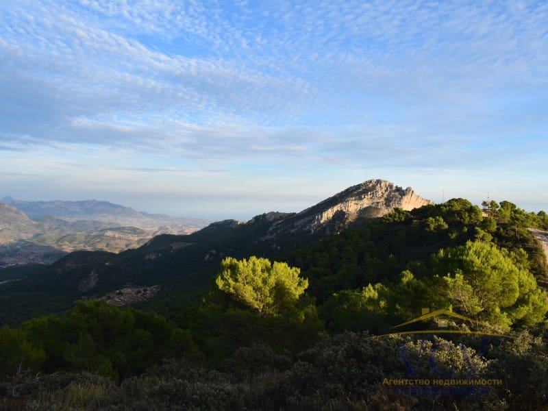 Mark till salu i Castalla - 1 000 000 € (Ref: 9948499)