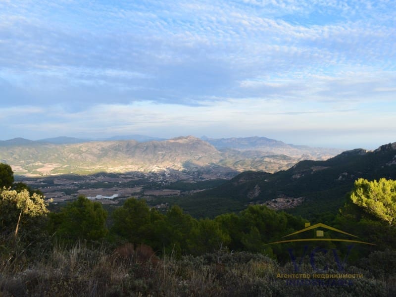 Mark till salu i Castalla - 1 000 000 € (Ref: 9948499)