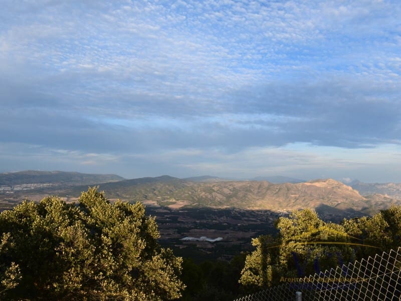 Mark till salu i Castalla - 1 000 000 € (Ref: 9948499)