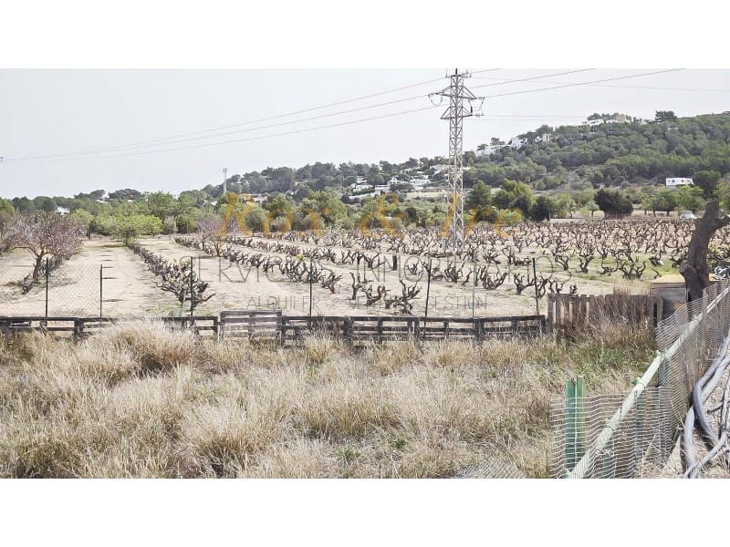 3 slaapkamer Villa te koop in Cala Bassa - € 1.999.900 (Ref: 8238238)