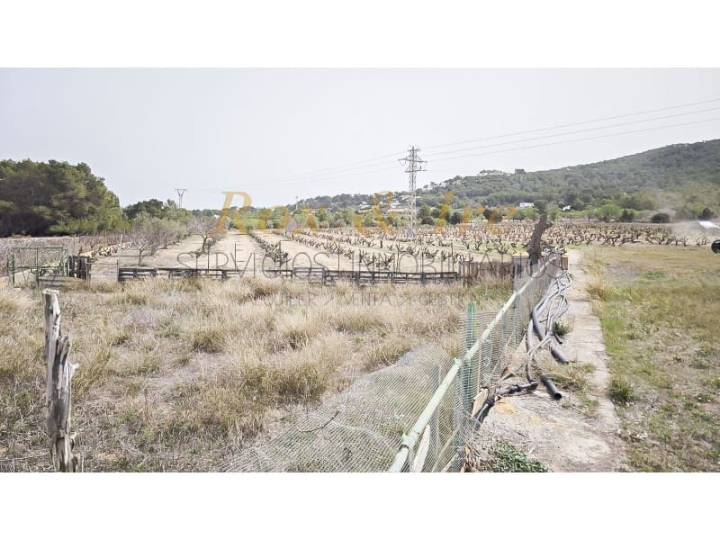 3 slaapkamer Villa te koop in Cala Bassa - € 1.999.900 (Ref: 8238238)