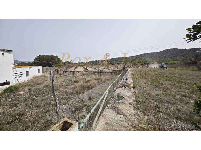 3 slaapkamer Villa te koop in Cala Bassa - € 1.999.900 (Ref: 8238238)