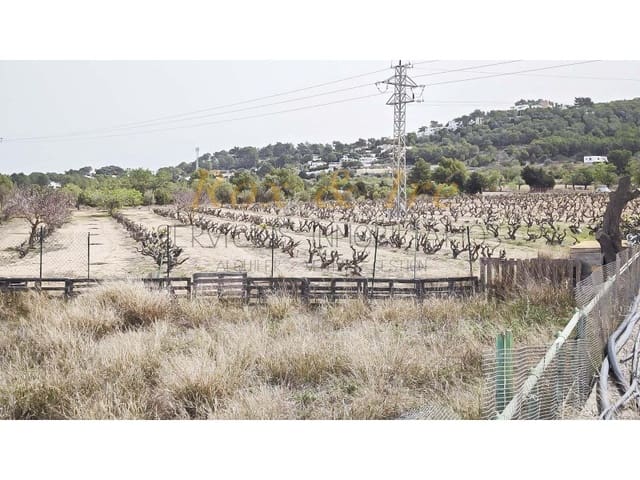 3 slaapkamer Villa te koop in Cala Bassa, San Jose / Sant Josep de Sa Talaia - € 1.999.900 (Ref: 8238238)