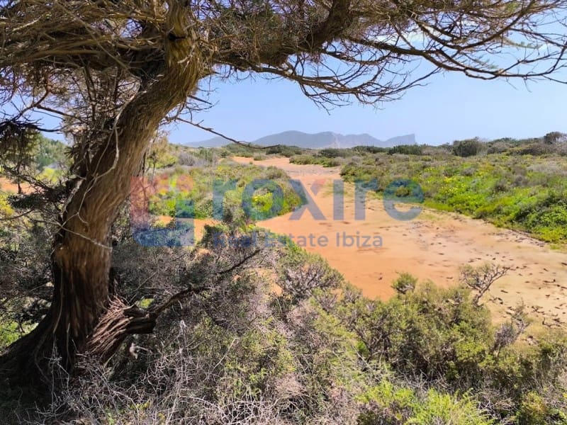 Undeveloped Land for sale in San Jose / Sant Josep de Sa Talaia - € 362,000 (Ref: 9076331)