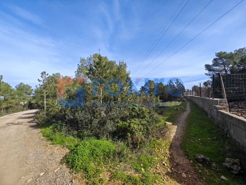 Undeveloped Land for sale in Sant Antoni de Portmany - € 1,100,000 (Ref: 9774335)