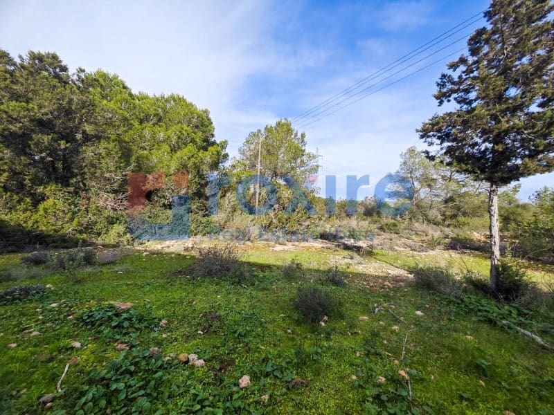 Undeveloped Land for sale in Sant Antoni de Portmany - € 1,100,000 (Ref: 9774335)