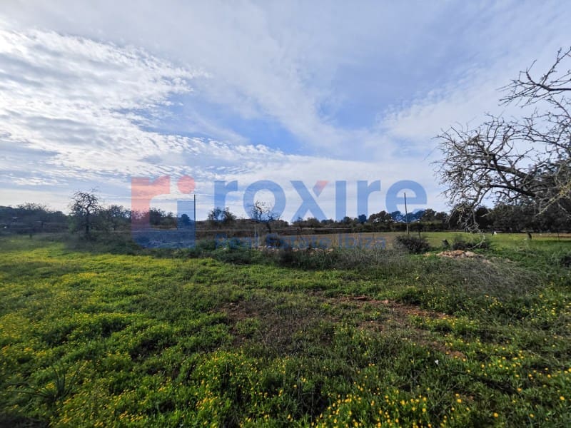 Undeveloped Land for sale in Sant Antoni de Portmany - € 1,100,000 (Ref: 9774335)