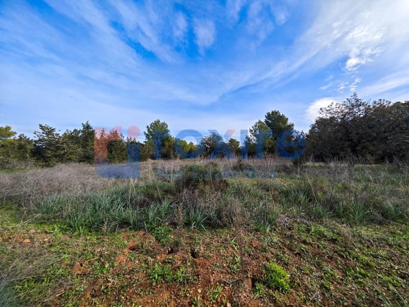 Undeveloped Land for sale in Sant Antoni de Portmany - € 1,100,000 (Ref: 9774335)