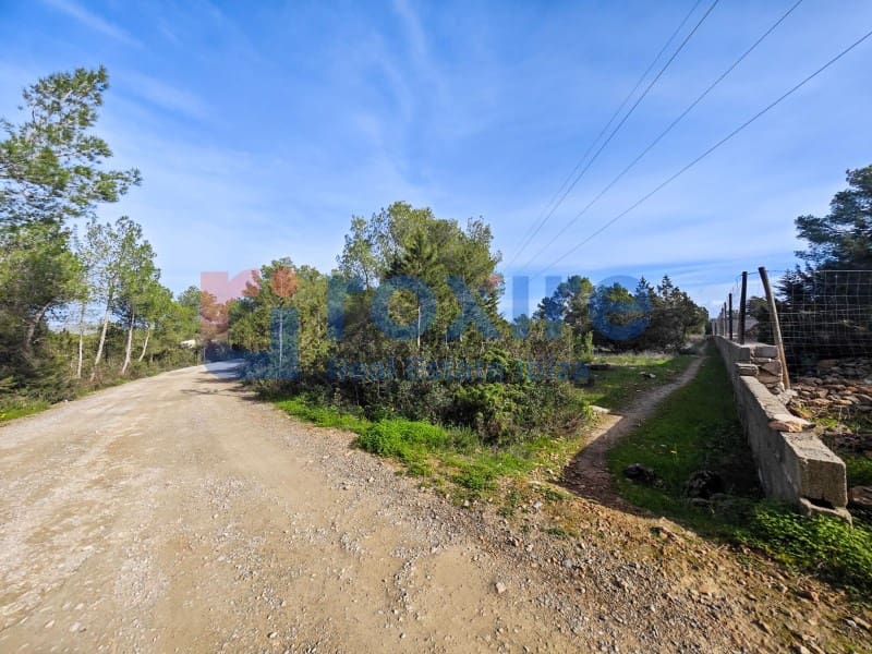 Undeveloped Land for sale in Sant Antoni de Portmany - € 1,100,000 (Ref: 9774335)