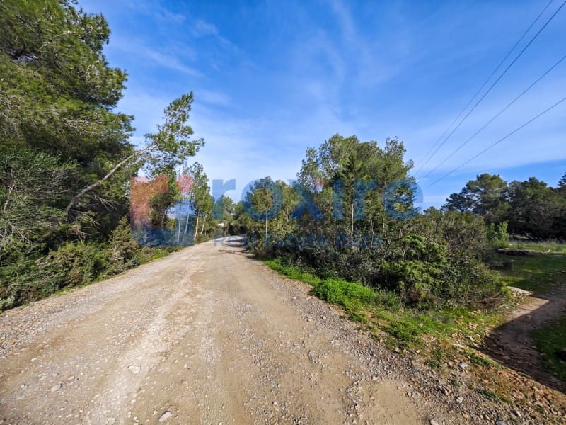 Undeveloped Land for sale in Sant Antoni de Portmany - € 1,100,000 (Ref: 9774335)