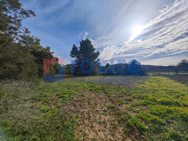 Undeveloped Land for sale in Sant Antoni de Portmany - € 1,100,000 (Ref: 9774335)