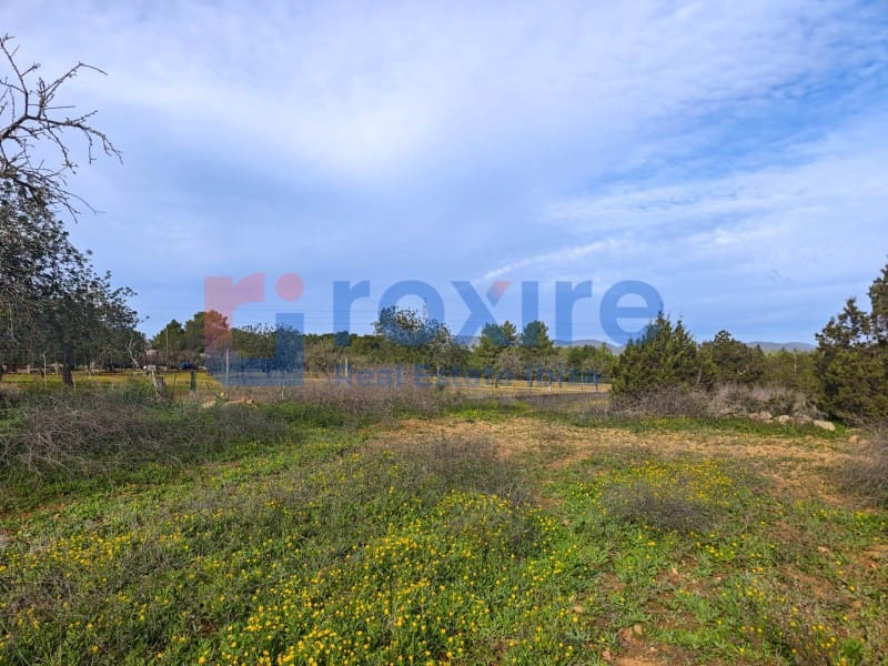 Undeveloped Land for sale in Sant Antoni de Portmany - € 1,100,000 (Ref: 9774335)