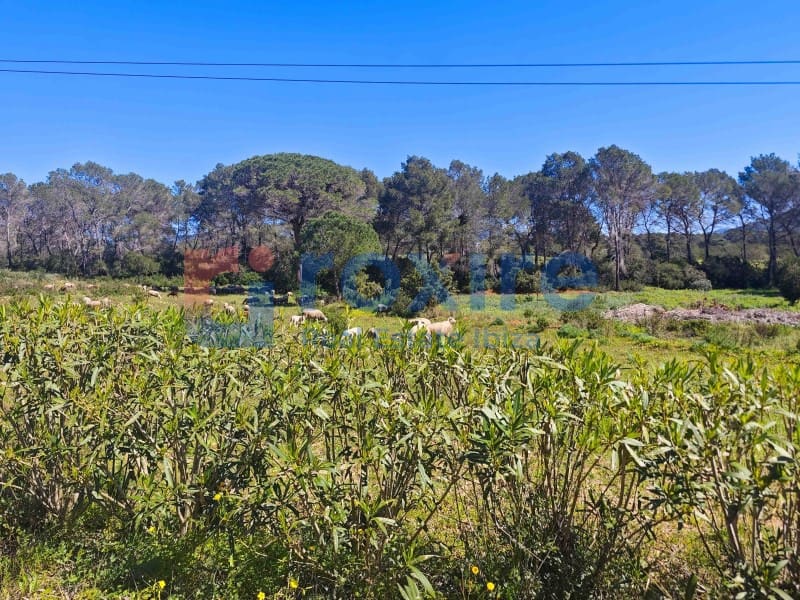 Finca/Casa Rural de 3 habitaciones en Sant Llorenç de Balafia en venta - 1.050.000 € (Ref: 9774342)
