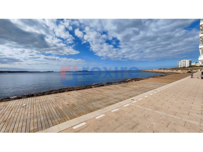 Studio for rent in Sant Antoni de Portmany - € 1,900 (Ref: 9774345)