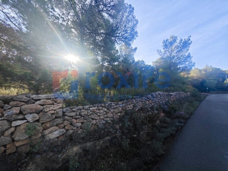 Undeveloped Land for sale in Sant Antoni de Portmany - € 150,000 (Ref: 9774353)