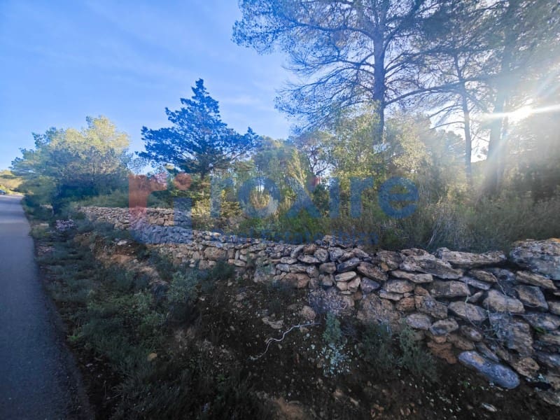 Undeveloped Land for sale in Sant Antoni de Portmany - € 150,000 (Ref: 9774353)