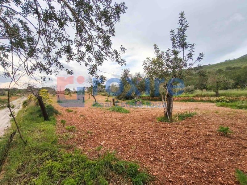 1 bedroom Finca/Country House for rent in Sant Carles de Peralta - € 2,500 (Ref: 9774366)