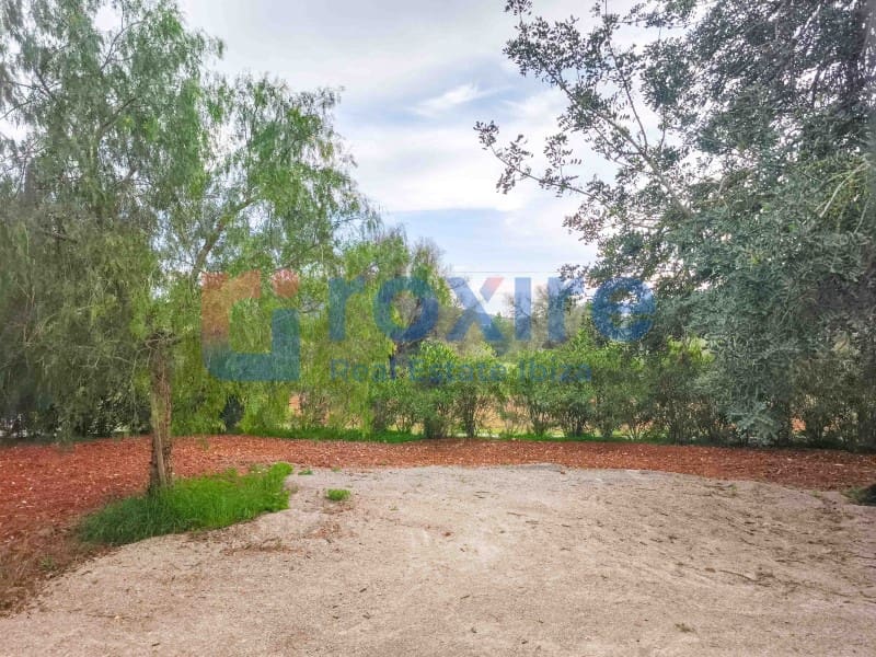 1 bedroom Finca/Country House for rent in Sant Carles de Peralta - € 2,500 (Ref: 9774366)