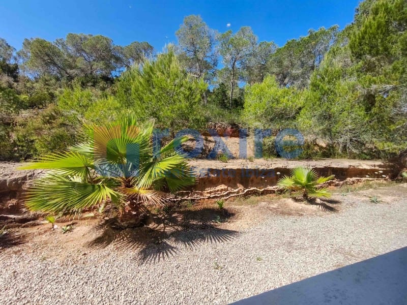 5 makuuhuone Huvila vuokrattavana paikassa Cala Tarida mukana uima-altaan 
autotalli - 10 000 € (Ref: 9857624)