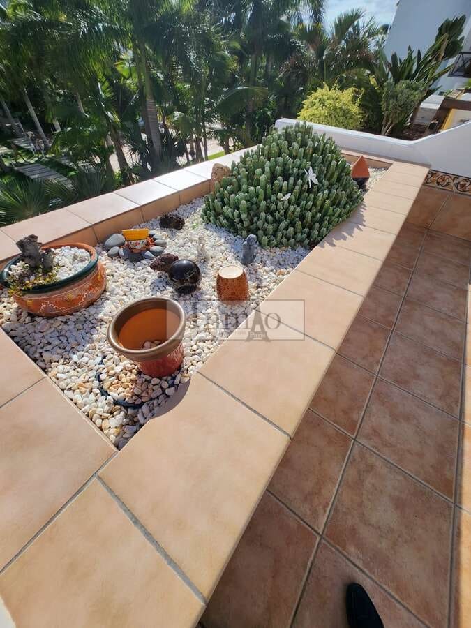 Studio for sale in Playa de las Americas with pool - € 365,000 (Ref: 9465124)