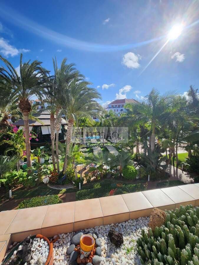 Studio for sale in Playa de las Americas with pool - € 365,000 (Ref: 9465124)