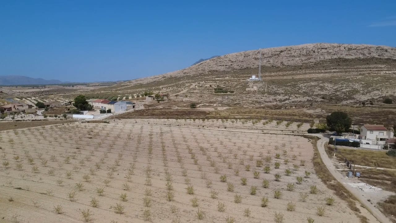 3 sovrum Finca/Hus på landet till salu i Torre del Rico med pool garage - 139 995 € (Ref: 10116710)