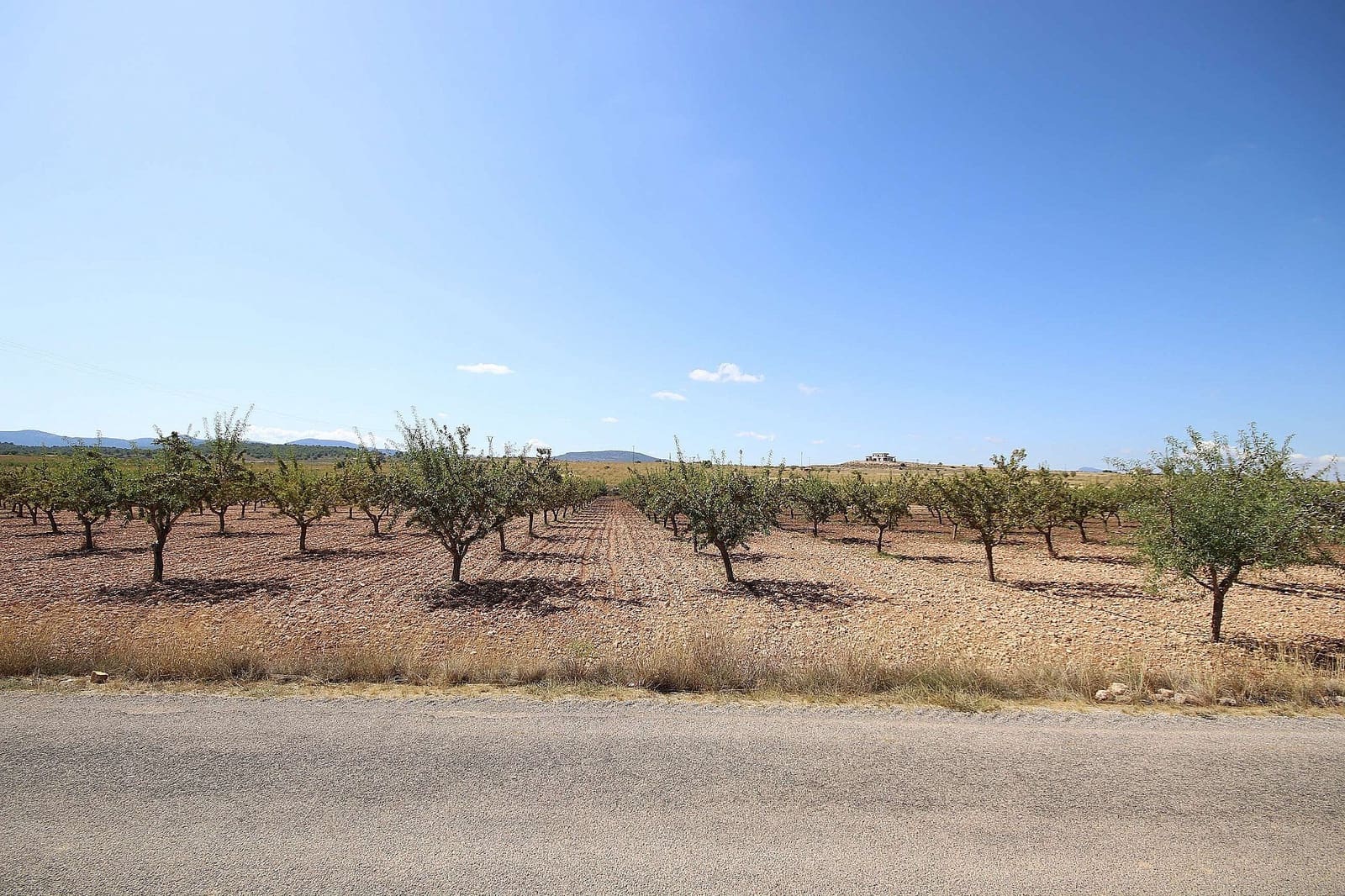 Grunde uden byggetilladelser til salg i Pinoso - € 70.995 (Ref: 5467484)