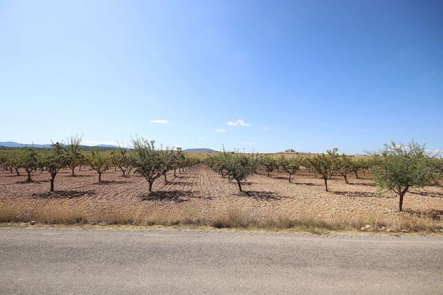 Landgrundstück zu verkaufen in Pinoso - 70.995 € (Ref: 5467484)