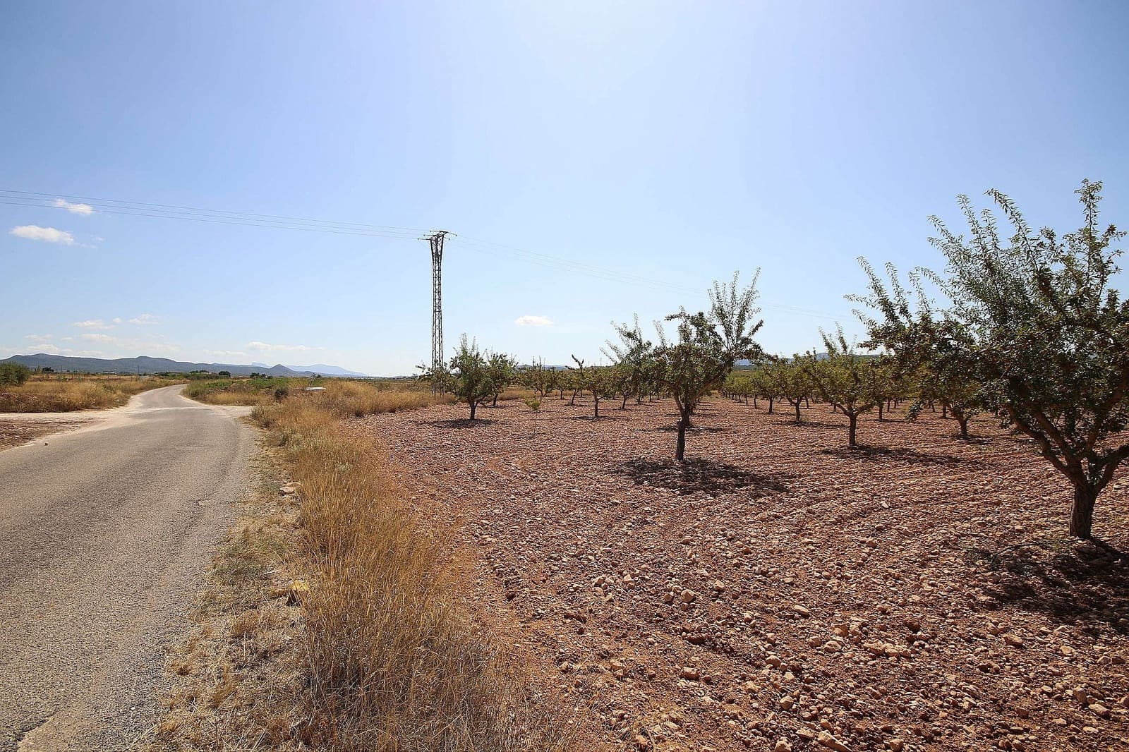 Grunde uden byggetilladelser til salg i Pinoso - € 70.995 (Ref: 5467484)