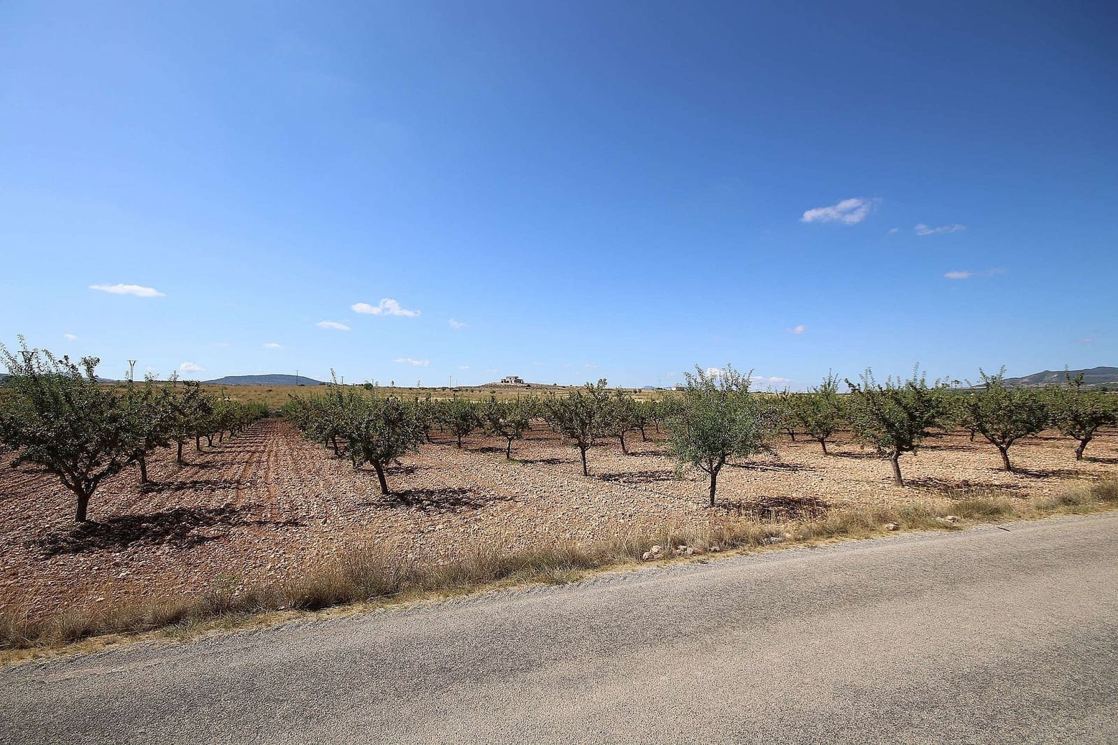 Grunde uden byggetilladelser til salg i Pinoso - € 70.995 (Ref: 5467484)