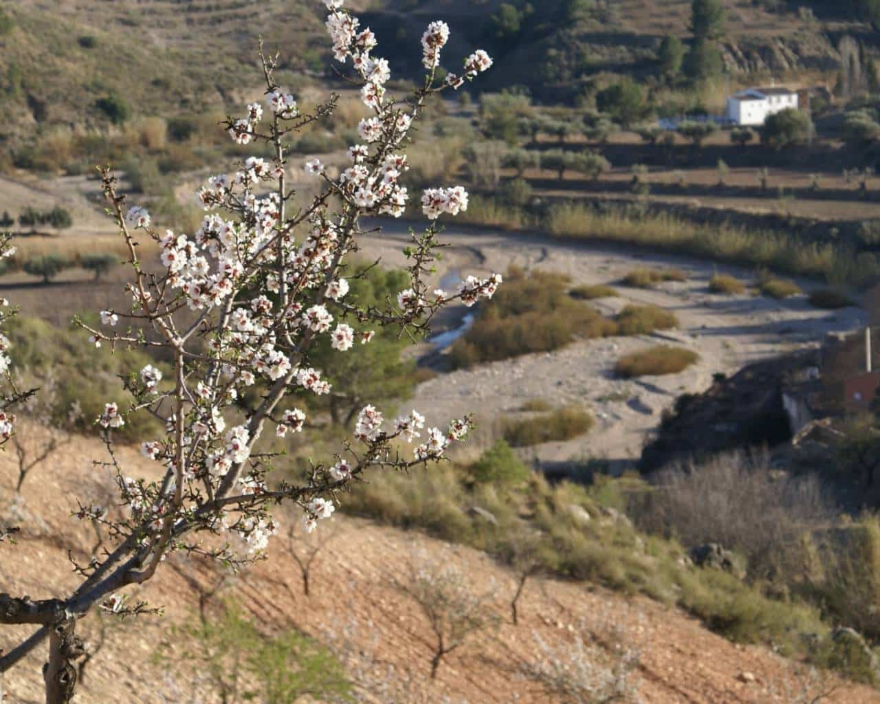 Bouwgrond te koop in La Parroquia - € 30.000 (Ref: 7677421)